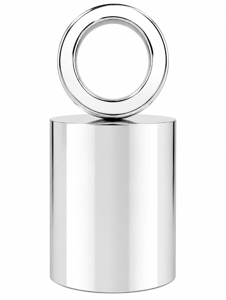 F1 20 kg ring weight